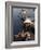 Women Ferrying Boats Await a Fare, Hoi An, Vietnam, Indochina, Southeast Asia-Andrew Mcconnell-Framed Photographic Print