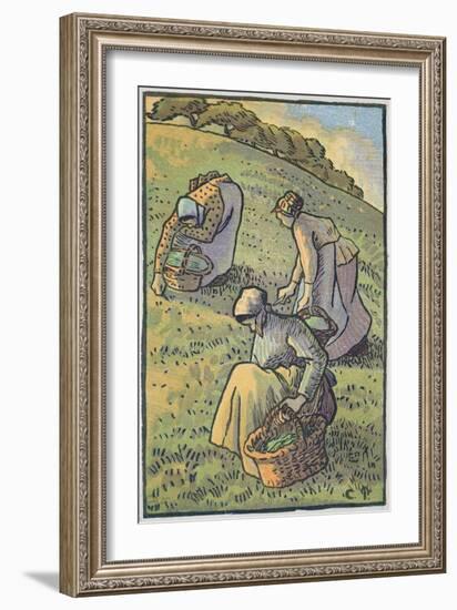 Women Gathering Mushrooms, from 'Travaux Des Champs', Engraved by Lucien Pissarro (1863-1944)-Camille Pissarro-Framed Giclee Print