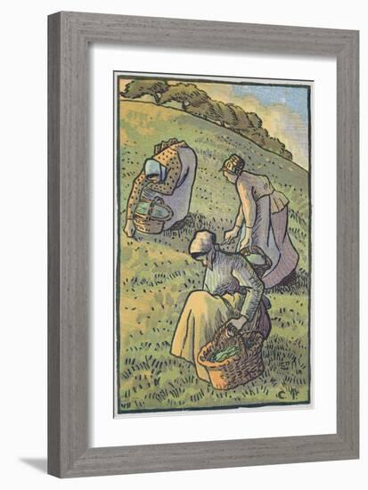 Women Gathering Mushrooms, from 'Travaux Des Champs', Engraved by Lucien Pissarro (1863-1944)-Camille Pissarro-Framed Giclee Print
