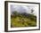 Women Hiking on Trail. Mt. Pelee, Martinique, French Antilles-Scott T. Smith-Framed Photographic Print