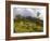 Women Hiking on Trail. Mt. Pelee, Martinique, French Antilles-Scott T. Smith-Framed Photographic Print