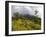 Women Hiking on Trail. Mt. Pelee, Martinique, French Antilles-Scott T. Smith-Framed Photographic Print