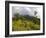 Women Hiking on Trail. Mt. Pelee, Martinique, French Antilles-Scott T. Smith-Framed Photographic Print