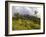 Women Hiking on Trail. Mt. Pelee, Martinique, French Antilles-Scott T. Smith-Framed Photographic Print