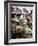 Women in Conical Hats Selling Fruit and Vegetables in Busy Central Market, Hoi An, Central Vietnam-Gavin Hellier-Framed Photographic Print