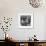 Women Making Table Forks at the Souete Generale De Coutellerie, France-null-Framed Photographic Print displayed on a wall