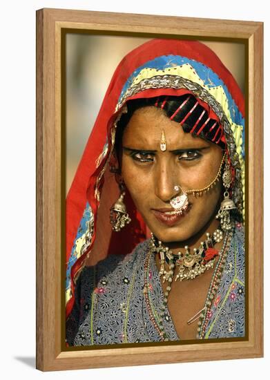 Women of Semi-Nomadic Groups, Rajasthan, Pushkar, India-David Noyes-Framed Premier Image Canvas