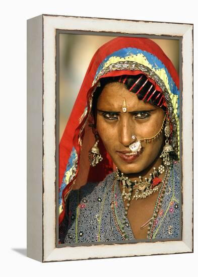 Women of Semi-Nomadic Groups, Rajasthan, Pushkar, India-David Noyes-Framed Premier Image Canvas
