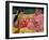 Women of Tahiti, on the Beach, 1891-Paul Gauguin-Framed Giclee Print