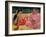 Women of Tahiti, on the Beach, 1891-Paul Gauguin-Framed Giclee Print