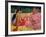 Women of Tahiti, on the Beach, 1891-Paul Gauguin-Framed Giclee Print