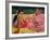 Women of Tahiti, on the Beach, 1891-Paul Gauguin-Framed Giclee Print