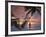 Women on Beach, Ari Atoll, White Sands Island-Angelo Cavalli-Framed Photographic Print