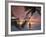 Women on Beach, Ari Atoll, White Sands Island-Angelo Cavalli-Framed Photographic Print