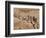 Women on Their Way to Washplace in the River Niger, Mali, Africa-Jack Jackson-Framed Photographic Print