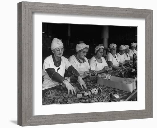 Women Packaging Bay Leaves in A&P Plant-Herbert Gehr-Framed Photographic Print