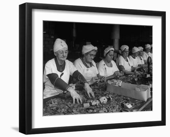 Women Packaging Bay Leaves in A&P Plant-Herbert Gehr-Framed Photographic Print