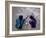 Women Painting a Mandana on the Ground, Village Near Jodhpur, Rajasthan, India-Bruno Morandi-Framed Photographic Print