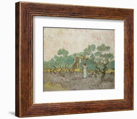 Women Picking Olives, 1889-Vincent van Gogh-Framed Giclee Print