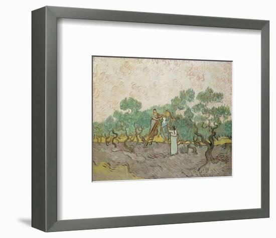 Women Picking Olives, 1889-Vincent van Gogh-Framed Giclee Print