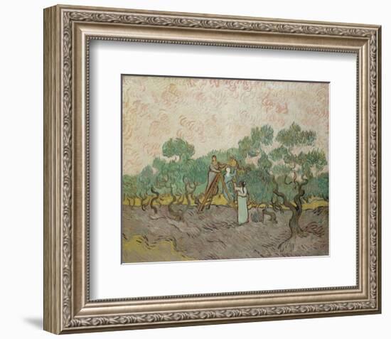 Women Picking Olives, 1889-Vincent van Gogh-Framed Art Print