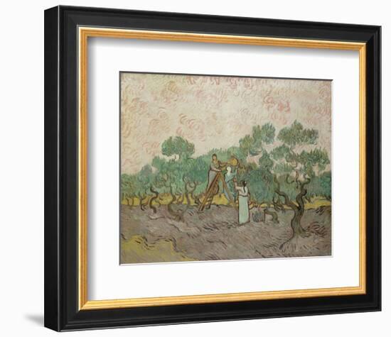 Women Picking Olives, 1889-Vincent van Gogh-Framed Art Print