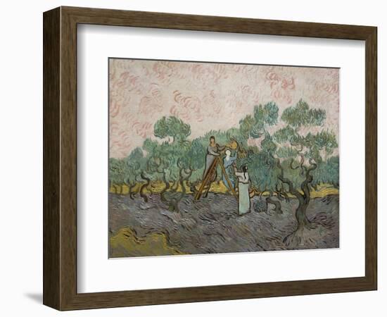 Women Picking Olives-Vincent van Gogh-Framed Art Print