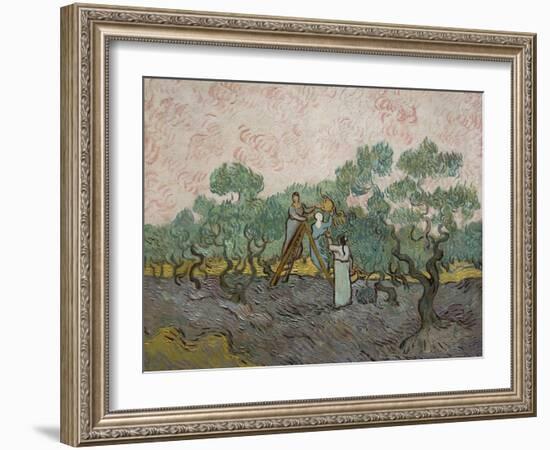 Women Picking Olives-Vincent van Gogh-Framed Art Print