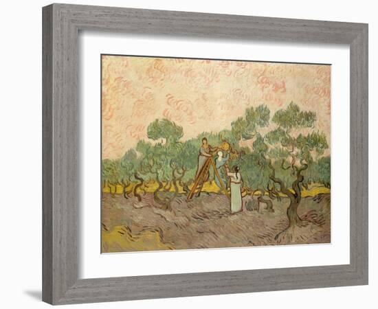 Women Picking Olives-Vincent van Gogh-Framed Giclee Print