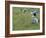 Women Picking Rice, Serian, Sarawak, Malaysian Borneo, Malaysia, Southeast Asia, Asia-Annie Owen-Framed Photographic Print