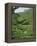 Women Picking Tea in a Tea Plantation, Munnar, Western Ghats, Kerala State, India, Asia-Gavin Hellier-Framed Premier Image Canvas