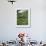 Women Picking Tea in a Tea Plantation, Munnar, Western Ghats, Kerala State, India, Asia-Gavin Hellier-Framed Photographic Print displayed on a wall