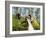 Women Picking Tea, Vythiri, Wayanard District, Kerala, India, Asia-Annie Owen-Framed Photographic Print