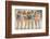 Women Posing in Bathing Suits-null-Framed Photo