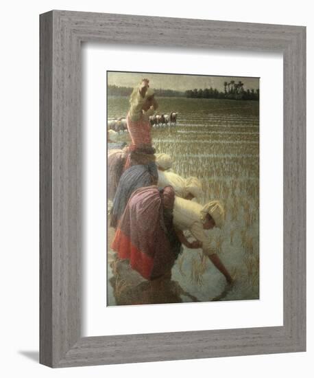 Women Rice Harvesters in the Paddy Field-Angelo Morbelli-Framed Art Print