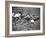 Women Runners Competing at the Olympics-George Silk-Framed Photographic Print