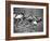 Women Runners Competing at the Olympics-George Silk-Framed Photographic Print