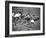 Women Runners Competing at the Olympics-George Silk-Framed Photographic Print