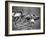 Women Runners Competing at the Olympics-George Silk-Framed Photographic Print