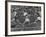 Women Runners Competing at the Olympics-null-Framed Premium Photographic Print