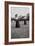 Women's Archery, 1909-null-Framed Photographic Print