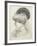 Women's Fashion Plate Depicting Hat by Robert Funke, Sketch, 1910-null-Framed Giclee Print