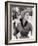 Women's Tweed Fashions-Nina Leen-Framed Photographic Print