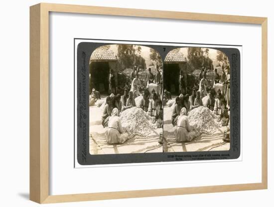 Women Sorting Large Piles of Silk Cocoons, Antioch, Syria, 1900s-Underwood & Underwood-Framed Giclee Print