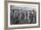 Women Tending Young Sugar Canes in Jamaica, 1922-null-Framed Giclee Print