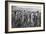 Women Tending Young Sugar Canes in Jamaica, 1922-null-Framed Giclee Print