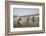 Women Wash Clothes in the Polluted Water of the Yamuna River-Roberto Moiola-Framed Photographic Print