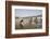 Women Wash Clothes in the Polluted Water of the Yamuna River-Roberto Moiola-Framed Photographic Print