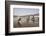 Women Wash Clothes in the Polluted Water of the Yamuna River-Roberto Moiola-Framed Photographic Print