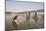 Women Wash Clothes in the Polluted Water of the Yamuna River-Roberto Moiola-Mounted Photographic Print